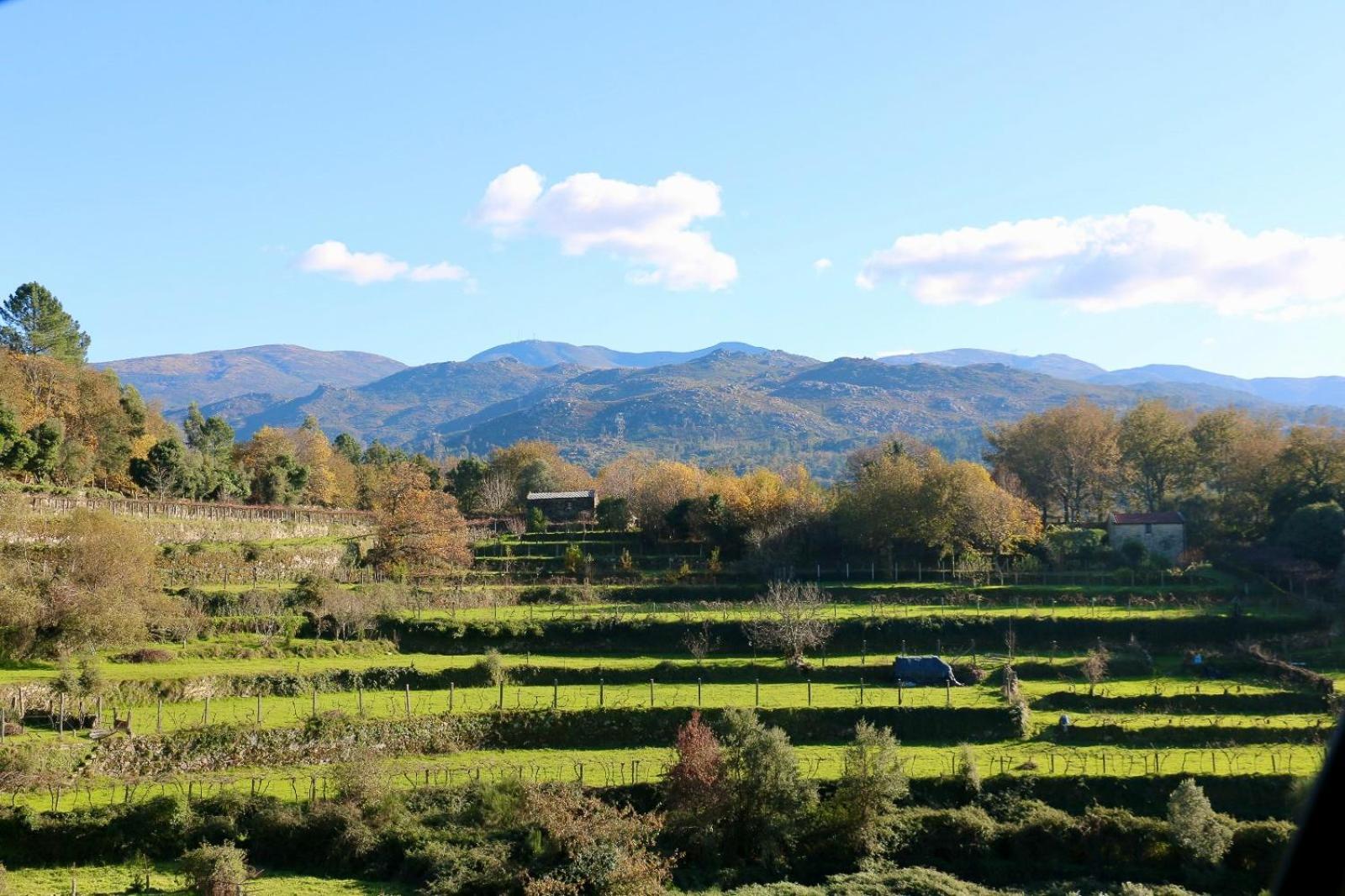 Casa Serra De 索茹 外观 照片